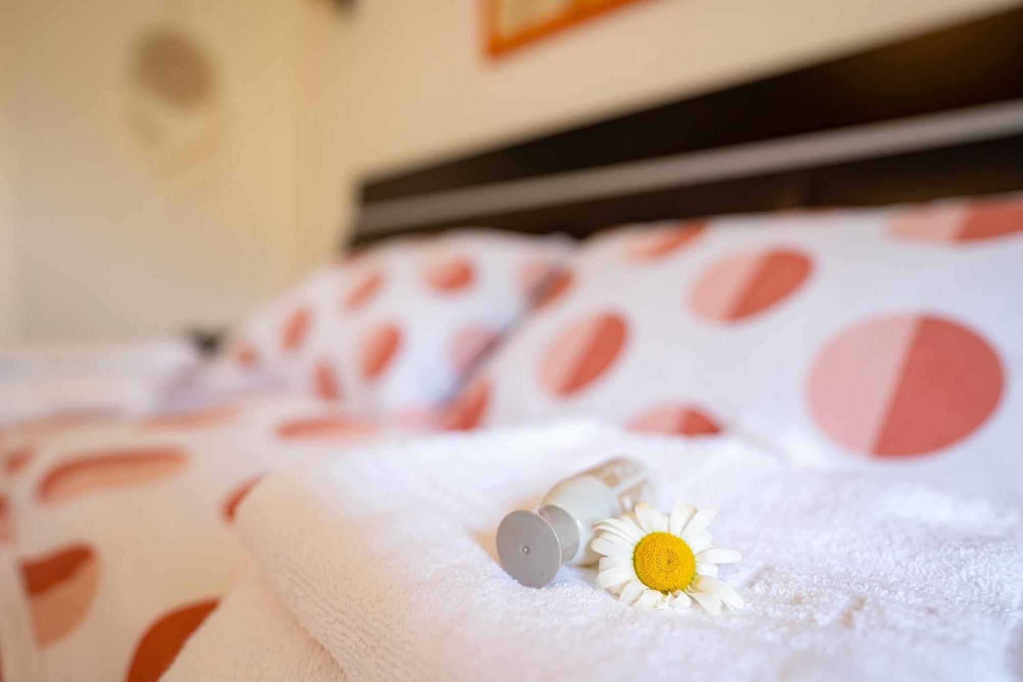 Metropolitan Wildscape View Apartment Brasov Ngoại thất bức ảnh